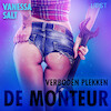 Verboden plekken: De monteur - erotisch verhaal - Vanessa Salt (ISBN 9788726758825)
