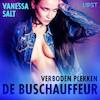 Verboden plekken: De buschauffeur - erotisch verhaal - Vanessa Salt (ISBN 9788726758849)