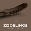 Zijdelings - Sophie Ester (ISBN 9789462176324)