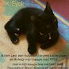 Ik ben Leo, een hulphond in een kattenjasje en ik help mijn baasje met PTSS - K. Eyck (ISBN 9789403626925)