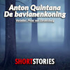 De Bavianenkoning - Anton Quintana (ISBN 9789462177383)