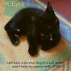 I'm Leo, a service dog in a cat jacket, and I'm helping my owner with PTSD - K. Eyck (ISBN 9789403628967)