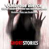 Uit de bizarre wereld van het ongerijmde - Ambrose Bierce (ISBN 9789462178748)