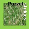Puzzelstukjes - Mark Verhoogt (ISBN 9789464359190)