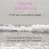 PTSS een onzichtbare ziekte ... - Sophia Wilhelmina (ISBN 9789403641881)