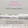 PTSD an invisible disease ... - Sophia Wilhelmina (ISBN 9789403642192)