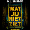 Wat jij niet ziet - M.J. Arlidge (ISBN 9789052861265)