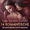 14 romantische en opwindende korte verhalen - een erotische verzameling - Lisa Vild, Katja Slonawski (ISBN 9788728183427)