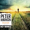 Stille Blik - Peter Robinson (ISBN 9789046177068)