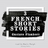 3 French Short Stories by Gustave Flaubert - Gustave Flaubert (ISBN 9782821112551)