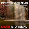 Peter van Eerdenburg - Anton Quintana (ISBN 9789464496550)