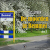 De moorden in Bemmel -2 - Liz Luyben (ISBN 9789464497670)