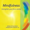 Mindfulness - Tessa Gottschal (ISBN 9789071878251)