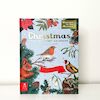 Welcome to the Museum: A Christmas Pop-Up Advent Calendar - Royal Botanic Gardens Kew (ISBN 9781800784369)