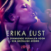 Erika Lust: 13 spannende verhalen voor een gezellige avond - Lea Lind, Olrik (ISBN 9788728183397)