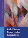 Beroep en karma - Rudolf Steiner (ISBN 9789060385784)