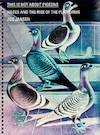 This is not about pigeons - Jos Jansen (ISBN 9789492051639)