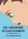 De geheime schatkamer - Fredrik Hamer (ISBN 9789464488043)