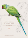 Windstilte (e-Book) - Inge Schilperoord (ISBN 9789028230217)