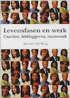Levensfasen en werk - J. van der Brug (ISBN 9789060384794)
