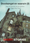 Doodsangst en waanzin -3 (e-Book) - Edgar Allen Poe (ISBN 9789462179684)