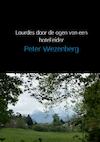 Lourdes door de ogen van een hotelleider - Peter Wezenberg (ISBN 9789402152975)
