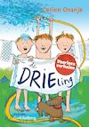 De drieling - Corien Oranje (ISBN 9789085433279)