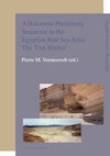 A Holocene prehistoric sequence in the Egyptian Red Sea area: The tree shelter (e-Book) (ISBN 9789461660336)