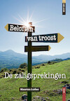Beloften van troost (e-Book) - Maarten Luther (ISBN 9789462789890)