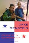 Journalist in gevangenschap (e-Book) - Okke Ornstein (ISBN 9789021408149)