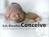 Eat, breathe, conceive - Rika Lukac (ISBN 9789082022124)