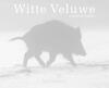 Witte Veluwe - Jan Vermeer (ISBN 9789081696517)