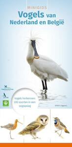 MINIGIDS Vogels van Nederland en België - Jip Louwe Kooijmans (ISBN 9789050115339)