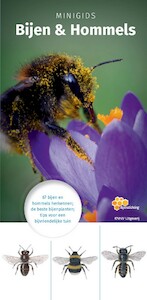 MINIGIDS Bijen en Hommels - Maureen Kemperink (ISBN 9789050116374)