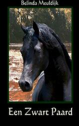 Een zwart paard (e-Book)