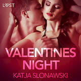 Valentine's Night - Erotic Short Story