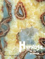 Hypnose in de praktijk (e-Book)
