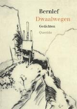 Dwaalwegen (e-Book)
