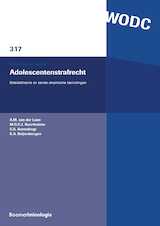 Adolescentenstrafrecht (e-Book)