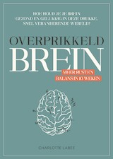 Overprikkeld Brein (e-Book)