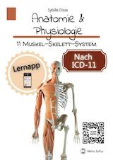 Anatomie & Physiologie Band 11: Muskel-Skelett-System (e-Book)