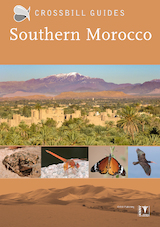 Southern Morocco