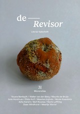 Revisor 31 (e-Book)