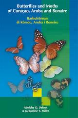 Butterflies and Moths of Curacao, Aruba and Bonaire (Barbuletenan do Korsou, Aruba i Boneiru)