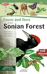 Fauna and Flora of the Zonienforest