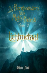 Lichtmetaal (e-Book)