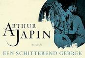 Een schitterend gebrek - Arthur Japin (ISBN 9789049804008)