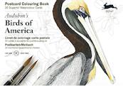 Audubon's Birds of America - Pepin van Roojen (ISBN 9789460096280)