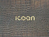 ICOON - Version: croco - Gosia Warrink (ISBN 9783980965521)
