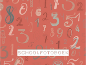 Schoolfotoboek - (ISBN 9789083024639)
